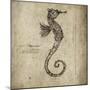 Seahorse-Sidney Paul & Co.-Mounted Giclee Print