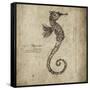 Seahorse-Sidney Paul & Co.-Framed Stretched Canvas