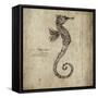 Seahorse-Sidney Paul & Co.-Framed Stretched Canvas