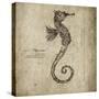 Seahorse-Sidney Paul & Co.-Stretched Canvas