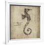 Seahorse-Sidney Paul & Co.-Framed Giclee Print