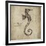 Seahorse-Sidney Paul & Co.-Framed Giclee Print