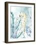 Seahorse-Kimberly Allen-Framed Art Print