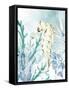 Seahorse-Kimberly Allen-Framed Stretched Canvas