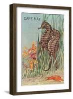 Seahorses, Cape May-null-Framed Art Print