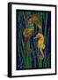 Seahorses - Paper Mosaic-Lantern Press-Framed Art Print