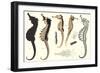 Seahorses-null-Framed Art Print