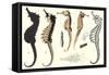 Seahorses-null-Framed Stretched Canvas