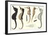 Seahorses-null-Framed Art Print