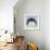 Seal Circle, 2003-Mark Adlington-Framed Giclee Print displayed on a wall