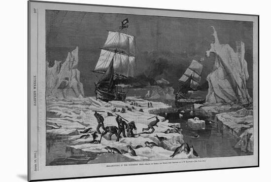 Seal Hunting in the Northern Seas. Drawn by Schell and Hogan, from Sketches by J.W. Hayward. See Pa-null-Mounted Giclee Print