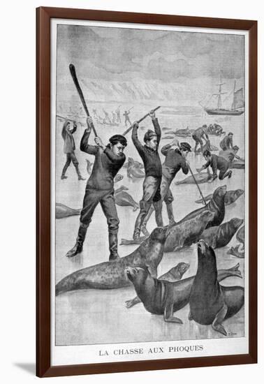 Seal Hunting, Newfoundland, 1902-null-Framed Giclee Print