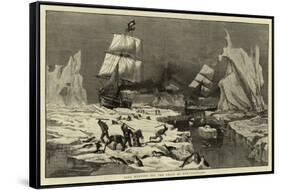 Seal Hunting Off the Coast of Newfoundland-null-Framed Stretched Canvas