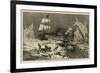 Seal Hunting Off the Coast of Newfoundland-null-Framed Giclee Print