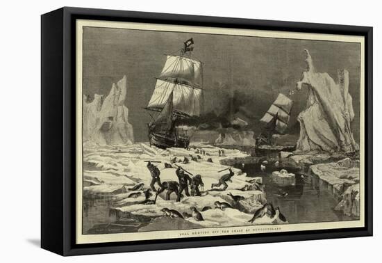 Seal Hunting Off the Coast of Newfoundland-null-Framed Stretched Canvas