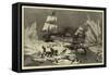 Seal Hunting Off the Coast of Newfoundland-null-Framed Stretched Canvas