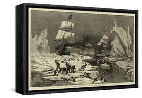 Seal Hunting Off the Coast of Newfoundland-null-Framed Stretched Canvas