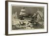 Seal Hunting Off the Coast of Newfoundland-null-Framed Giclee Print