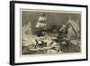 Seal Hunting Off the Coast of Newfoundland-null-Framed Giclee Print