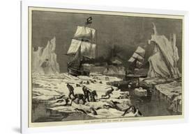 Seal Hunting Off the Coast of Newfoundland-null-Framed Giclee Print