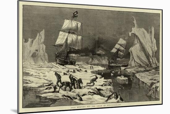Seal Hunting Off the Coast of Newfoundland-null-Mounted Giclee Print