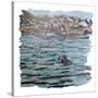 Seal Island-Kirstie Adamson-Stretched Canvas