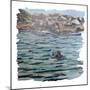 Seal Island-Kirstie Adamson-Mounted Giclee Print