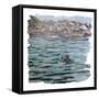 Seal Island-Kirstie Adamson-Framed Stretched Canvas