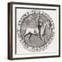 Seal of David of Scotland-null-Framed Giclee Print