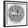 Seal of David of Scotland-null-Framed Giclee Print