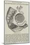 Seal of Goolab Sing-null-Mounted Giclee Print