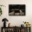 Seal Resting in Bin at Whaling Station-Paul Souders-Framed Stretched Canvas displayed on a wall