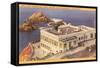 Seal Rocks, Cliff House, San Francisco, California-null-Framed Stretched Canvas