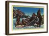 Seal Rocks near Cliff House - San Francisco, CA-Lantern Press-Framed Art Print