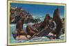 Seal Rocks near Cliff House - San Francisco, CA-Lantern Press-Mounted Art Print