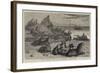 Seal Rocks, Near San Francisco, California-Samuel Edmund Waller-Framed Giclee Print