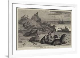 Seal Rocks, Near San Francisco, California-Samuel Edmund Waller-Framed Giclee Print