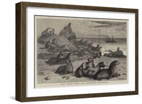 Seal Rocks, Near San Francisco, California-Samuel Edmund Waller-Framed Giclee Print