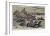 Seal Rocks, Near San Francisco, California-Samuel Edmund Waller-Framed Giclee Print