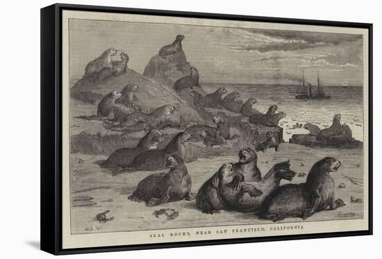 Seal Rocks, Near San Francisco, California-Samuel Edmund Waller-Framed Stretched Canvas