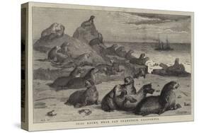 Seal Rocks, Near San Francisco, California-Samuel Edmund Waller-Stretched Canvas