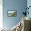 Seal Rocks, Sutro Heights, San Francisco, California-null-Framed Stretched Canvas displayed on a wall