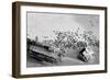 Seal Wreck-Howard Ruby-Framed Photographic Print