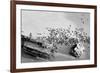 Seal Wreck-Howard Ruby-Framed Photographic Print