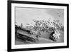 Seal Wreck-Howard Ruby-Framed Photographic Print