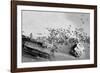 Seal Wreck-Howard Ruby-Framed Photographic Print