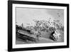Seal Wreck-Howard Ruby-Framed Photographic Print