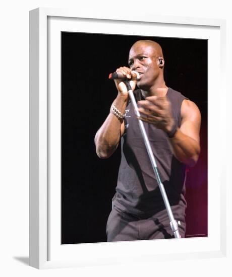 Seal-null-Framed Photo