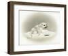 Seal-Peggy Harris-Framed Giclee Print