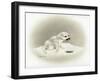 Seal-Peggy Harris-Framed Giclee Print